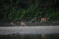 album/09082025/DSC_0346.JPG