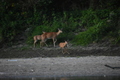 album/09082025/DSC_0347.JPG