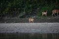 album/09082025/DSC_0350.JPG