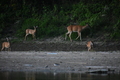 album/09082025/DSC_0351.JPG