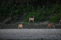 album/09082025/DSC_0352.JPG