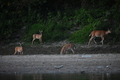 album/09082025/DSC_0353.JPG
