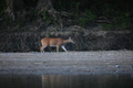 album/09082025/DSC_0357.JPG