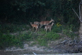 album/09082025/DSC_0360.JPG