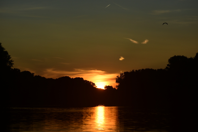 album/09082025/images/DSC_0333.JPG