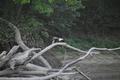 album/09112025/DSC_0213.JPG
