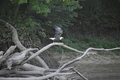 album/09112025/DSC_0214.JPG