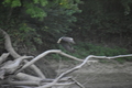 album/09112025/DSC_0215.JPG