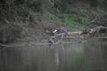 album/09112025/DSC_0219.JPG
