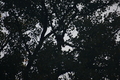 album/09112025/DSC_0227.JPG