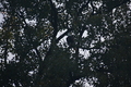 album/09112025/DSC_0229.JPG