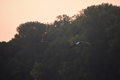album/09112025/DSC_0242.JPG