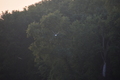 album/09112025/DSC_0245.JPG