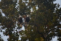 album/09112025/DSC_0263.JPG