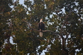 album/09112025/DSC_0280.JPG