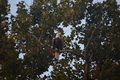album/09112025/DSC_0295.JPG
