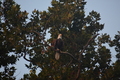 album/09112025/DSC_0311.JPG