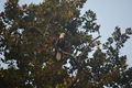 album/09112025/DSC_0314.JPG