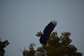 album/09112025/DSC_0325.JPG