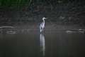 album/09112025/DSC_0340.JPG