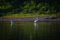 album/09152025/DSC_0422.JPG
