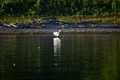 album/09152025/DSC_0424.JPG