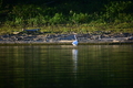 album/09152025/DSC_0435.JPG