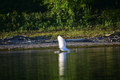 album/09152025/DSC_0445.JPG