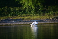 album/09152025/DSC_0446.JPG