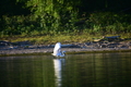 album/09152025/DSC_0447.JPG