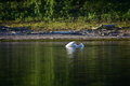 album/09152025/DSC_0454.JPG