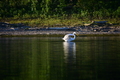 album/09152025/DSC_0455.JPG