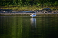 album/09152025/DSC_0456.JPG