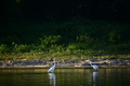 album/09152025/DSC_0458.JPG