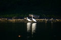 album/09152025/DSC_0492.JPG