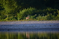 album/09152025/DSC_0494.JPG