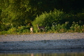 album/09152025/DSC_0497.JPG
