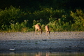 album/09152025/DSC_0502.JPG