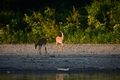album/09152025/DSC_0503.JPG