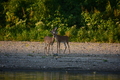album/09152025/DSC_0505.JPG