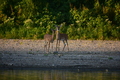 album/09152025/DSC_0506.JPG