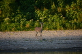 album/09152025/DSC_0507.JPG