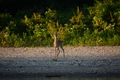 album/09152025/DSC_0508.JPG