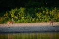 album/09152025/DSC_0510.JPG