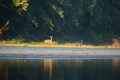 album/09152025/DSC_0512.JPG