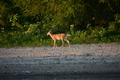 album/09152025/DSC_0514.JPG