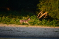 album/09152025/DSC_0515.JPG