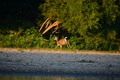 album/09152025/DSC_0518.JPG