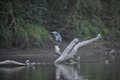 album/09152025/DSC_0526.JPG