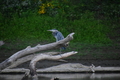 album/09152025/DSC_0531.JPG